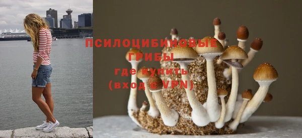 mdpv Абдулино
