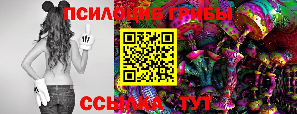 Белая Калитва  наркотики  Вход с VPN  Псилоцибиновые грибы Psilocybe 